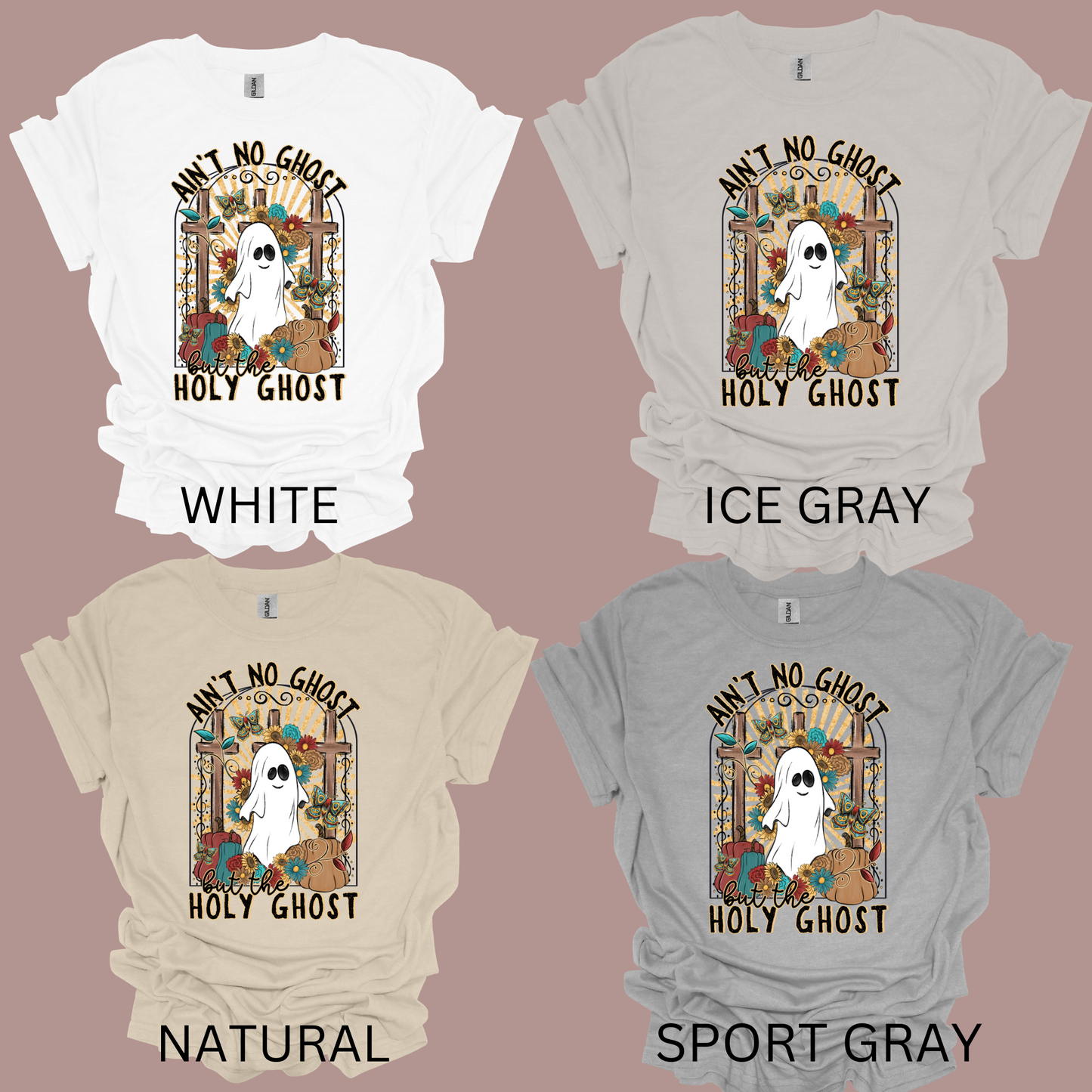 AINT NO GHOST but the HOLY GHOST t-shirt